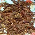 Hình ảnh Cá cơm chay