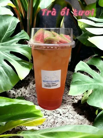 Hình ảnh Trà ổi tươi