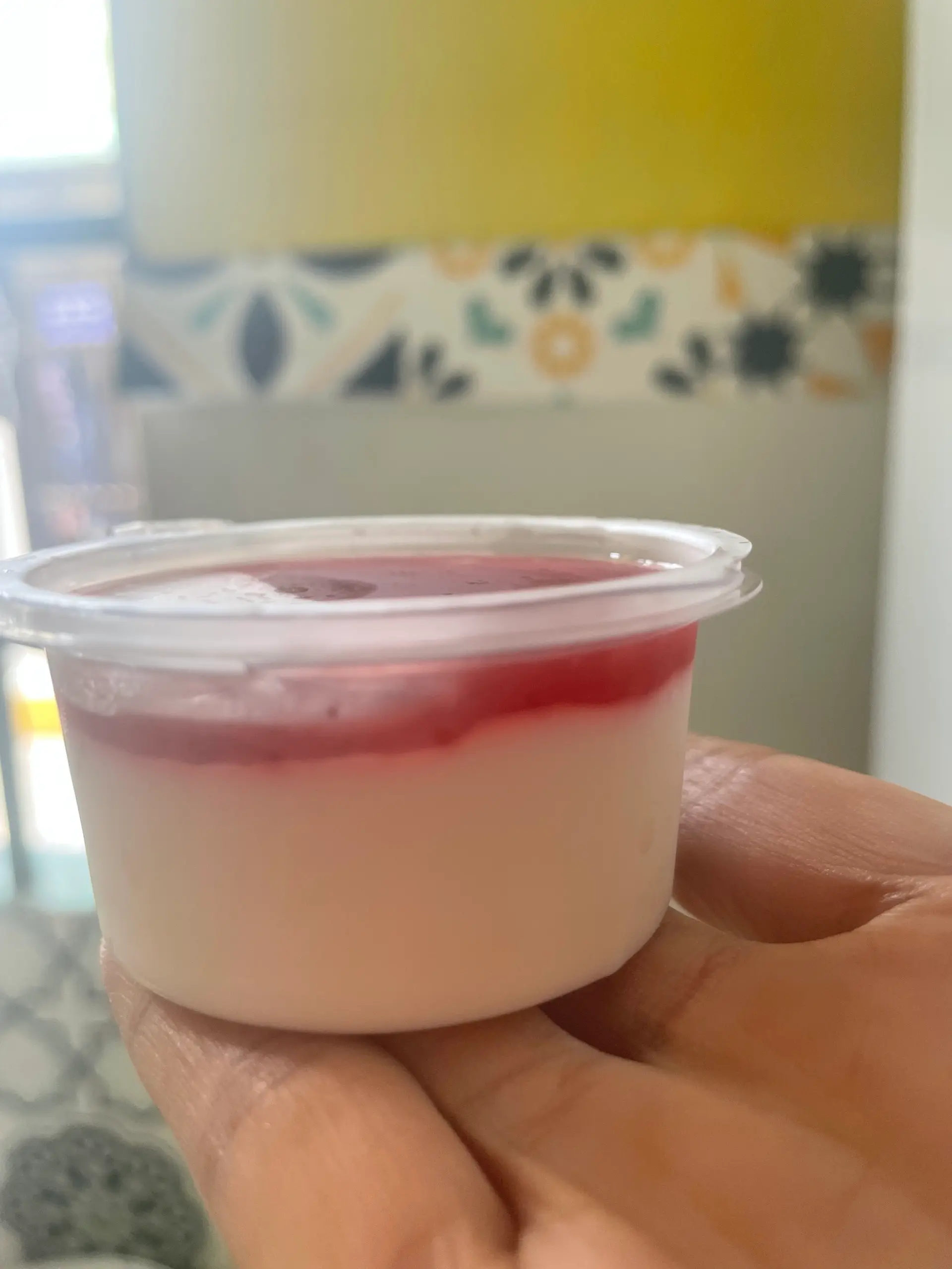 Hình ảnh Panacotta
