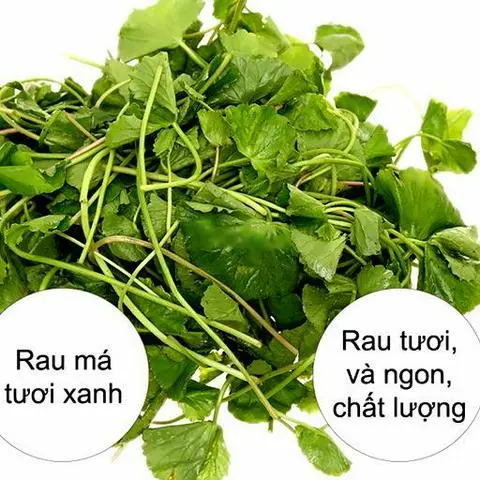 Hình ảnh Rau má truyền thống
