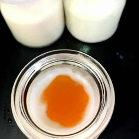 Hình ảnh Yaourt hủ xoài