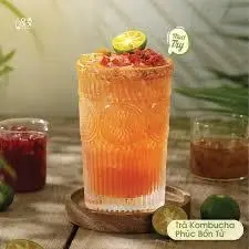 Hình ảnh Trà Kompucha