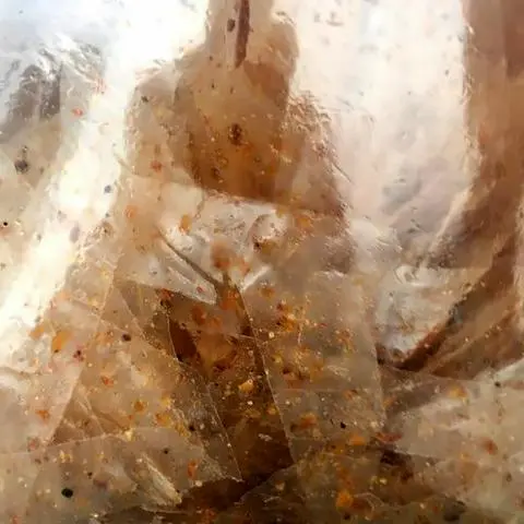 Hình ảnh Bánh  tráng muối tỏi đen
