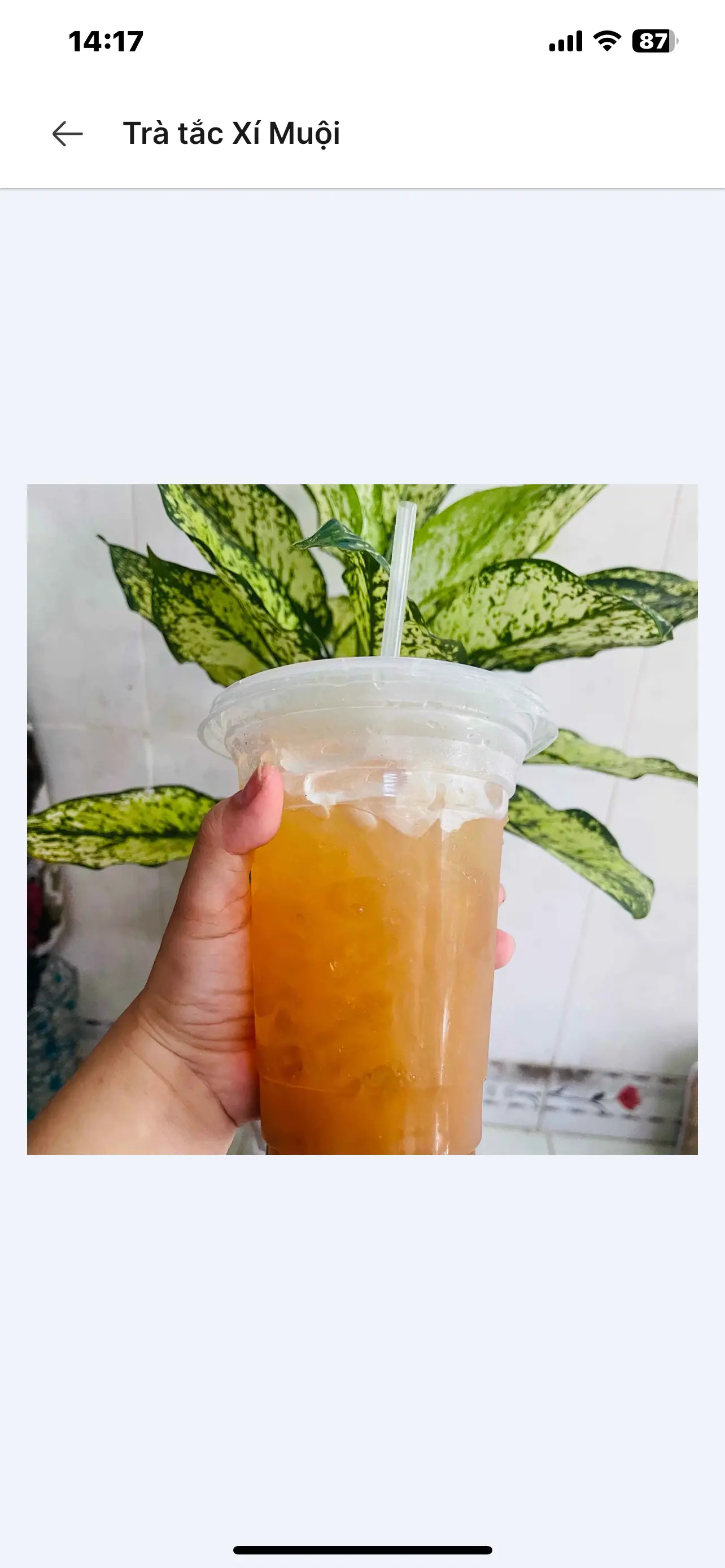 Hình ảnh trà tắc xí muội