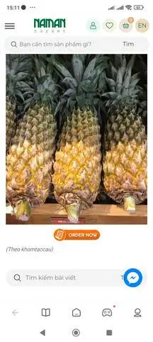 Hình ảnh Thơm+ Xoài, ổi, cắt sẵn 500g,  (kèm muối nhà làm)
