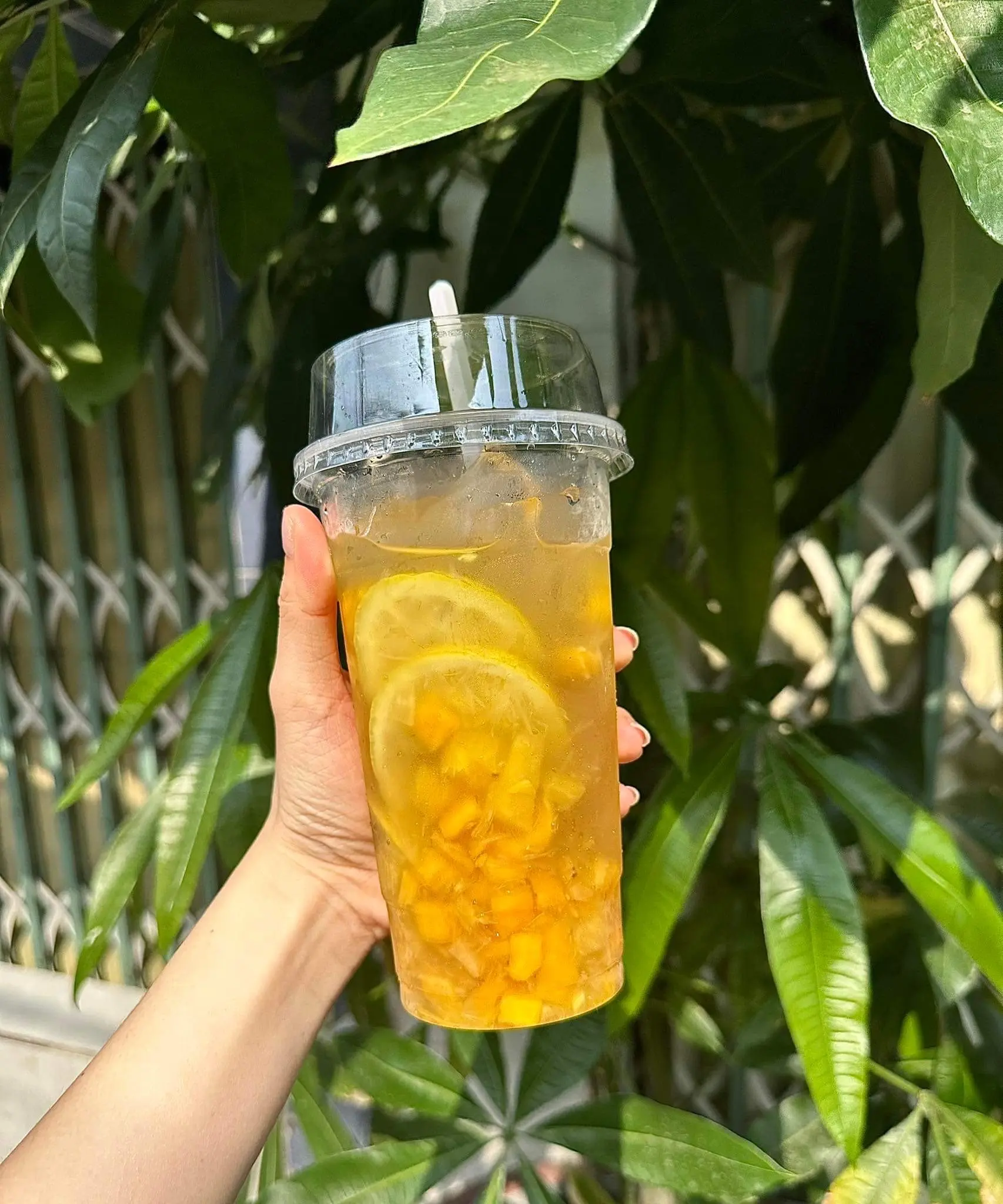 Hình ảnh Trà xoài chanh dây