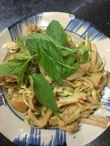 Hình ảnh Lá sách bò( khăn lông bò)