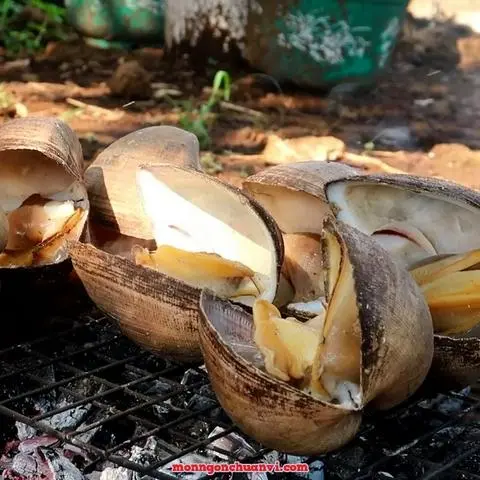 Hình ảnh Sò sữa nướng mỡ hành