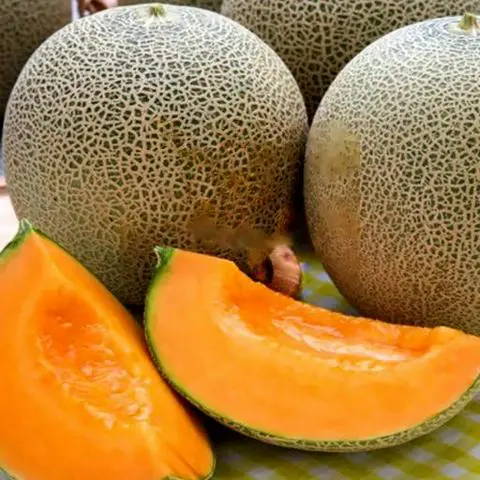 Hình ảnh Ép dưa lưới đường phèn
