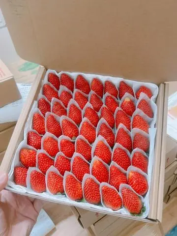 Hình ảnh Mua 2 hộp size lớn vừa tặng hũ muối xí muội