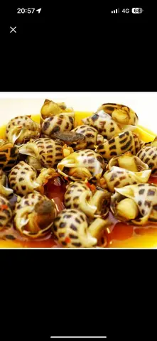Hình ảnh Ốc hương xào bơ tỏi