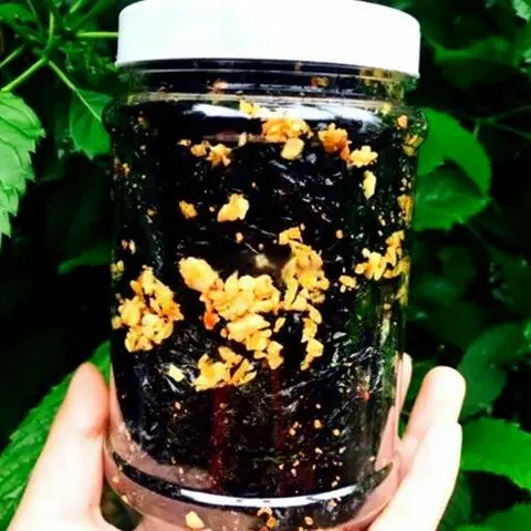 Hình ảnh Rong Biển Cháy Tỏi (Hủ)
