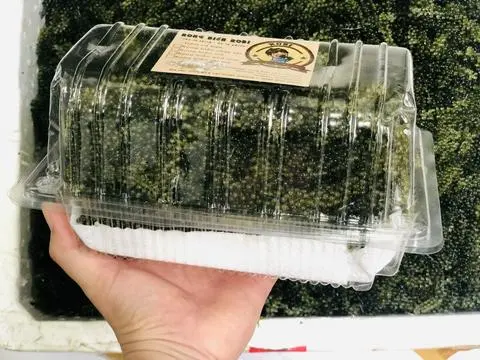 Hình ảnh Rong nho tươi 