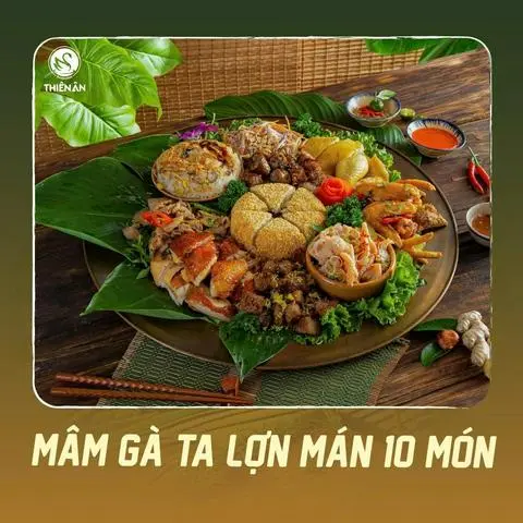 Hình ảnh Gà lợn 10m