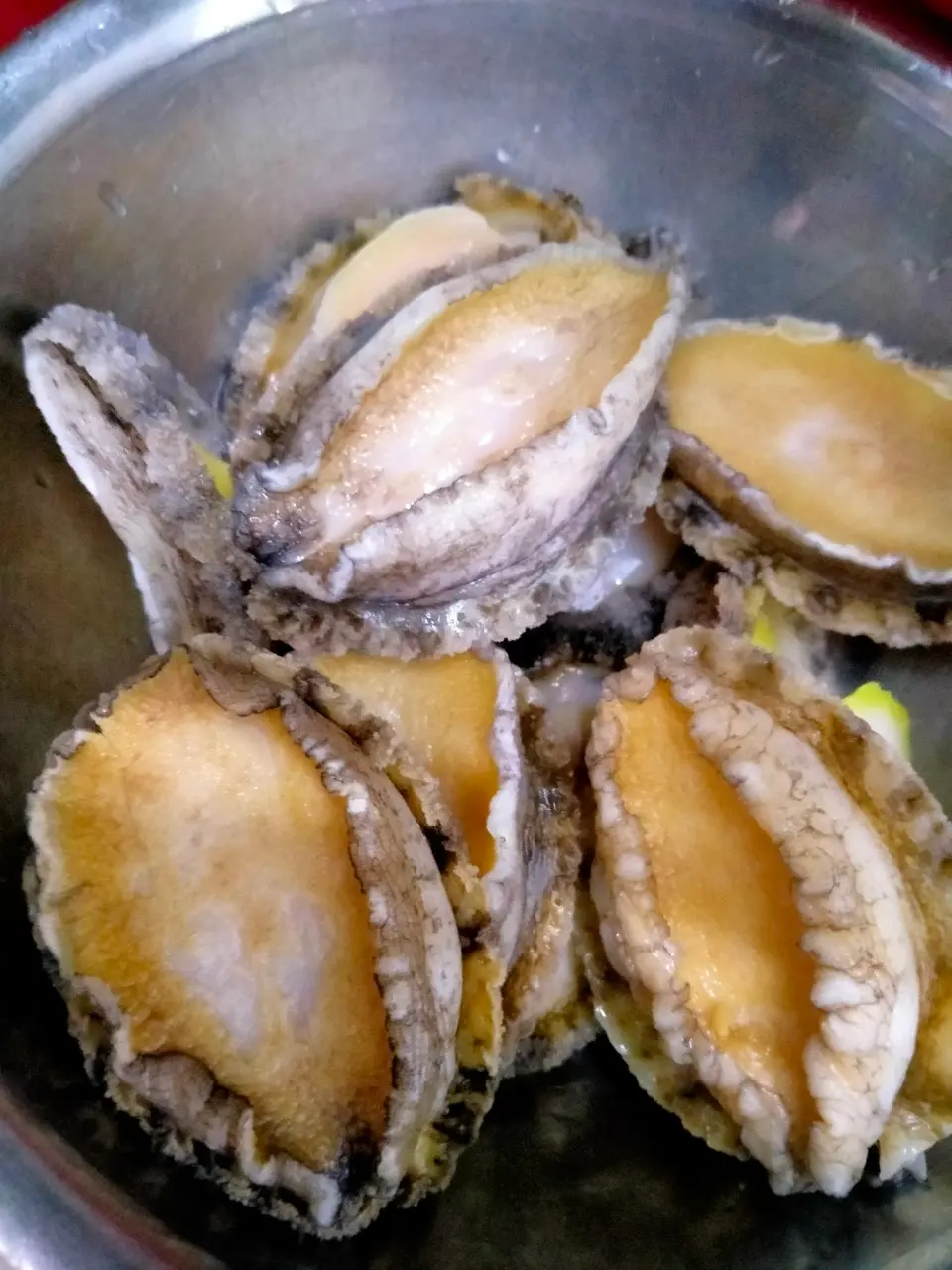 Hình ảnh Bào ngư thêm 