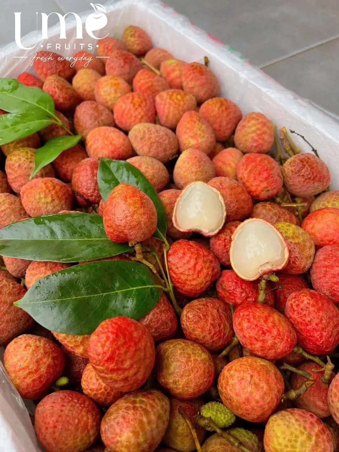 Hình ảnh 01 kg Vải Thiều Hải dương