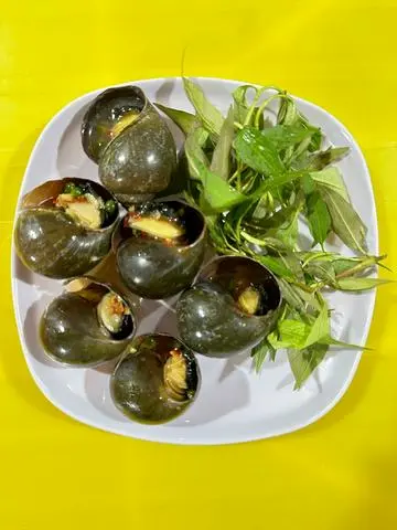Hình ảnh Ốc bưu tiêu xanh