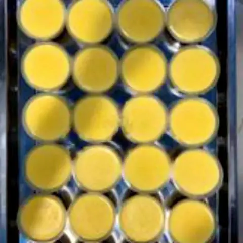 Hình ảnh Bánh flan lớn