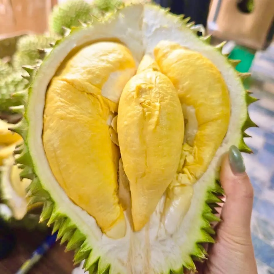Hình ảnh Khay 500g Sầu Riêng thơm ngon