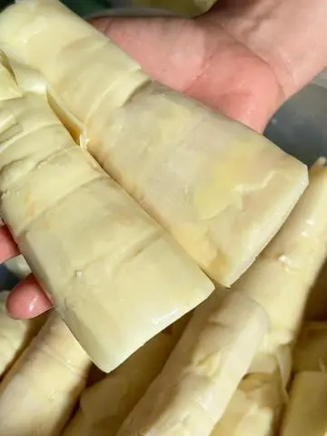 Hình ảnh Măng Thêm