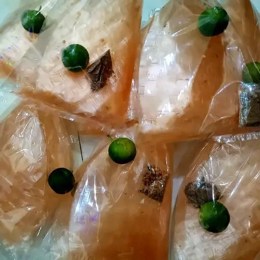 Hình ảnh Bánh tráng tắc