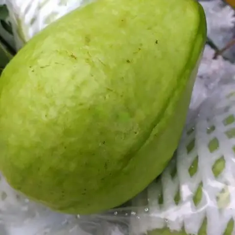 Hình ảnh Ổi nữ hoàng cắt sẵn 1kg