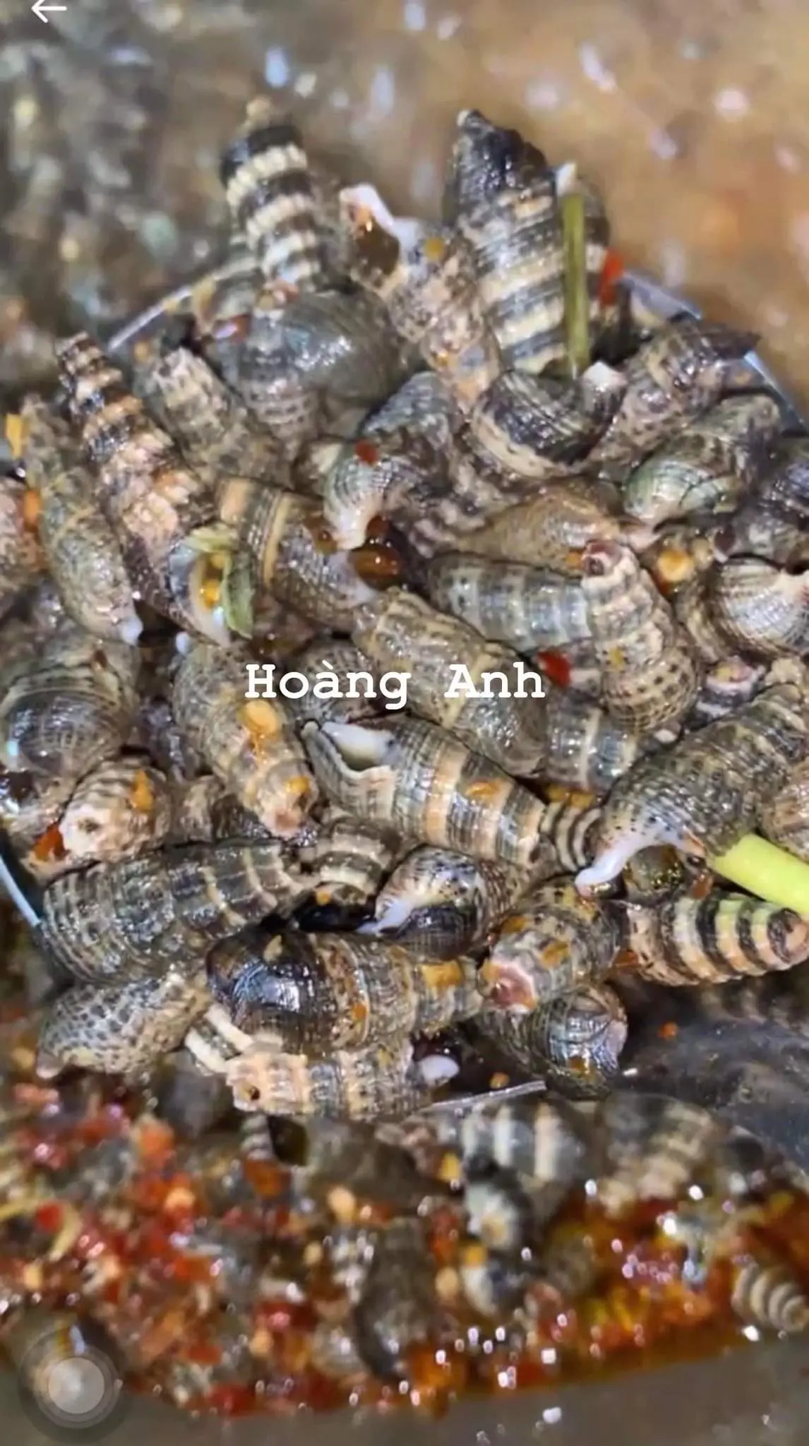 Hình ảnh Ốc sắt hút Quảng Ngãi