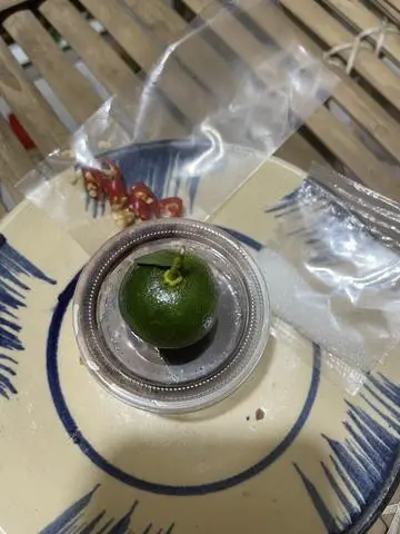Hình ảnh mắm thêm 