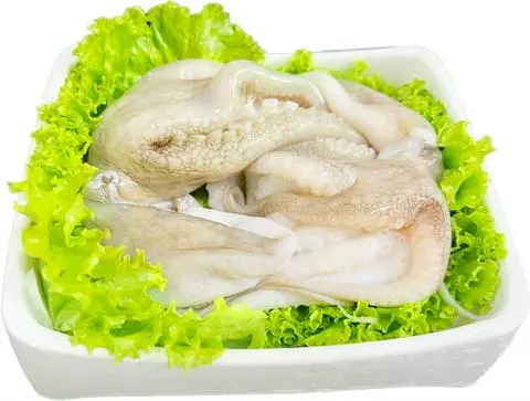 Hình ảnh Bạch tuộc