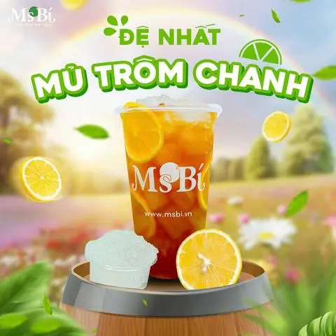 Hình ảnh Mủ Trôm Chanh