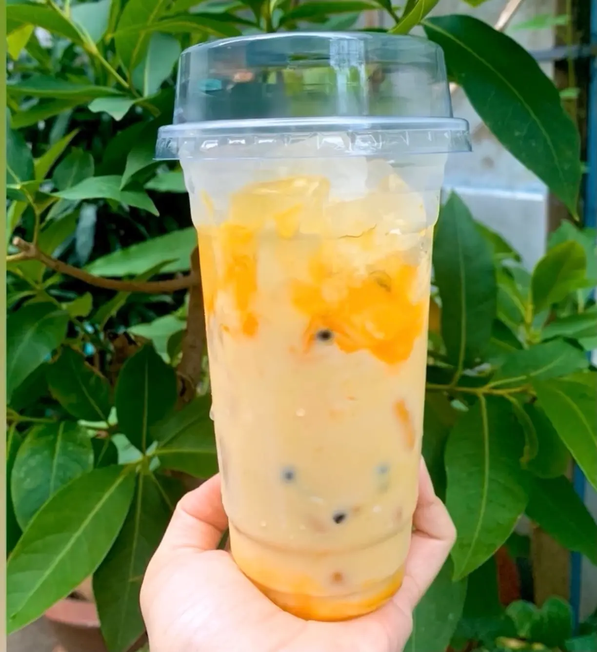 Hình ảnh Sữa chua chanh dây