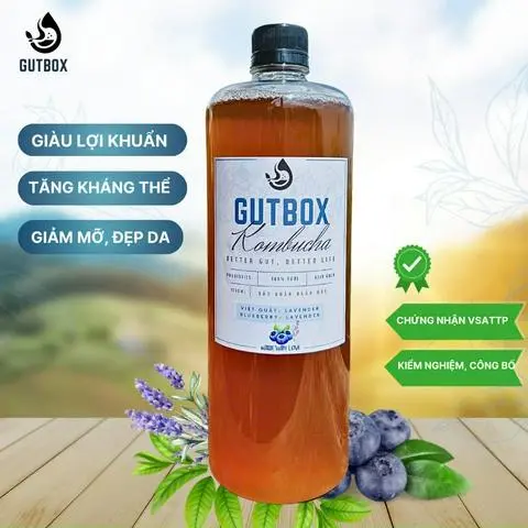 Hình ảnh 1 LÍT KOMBUCHA VIỆT QUẤT LAVENDER 