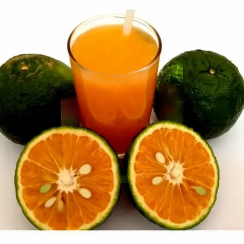 Hình ảnh Nước Cam Tươi Mật Ong