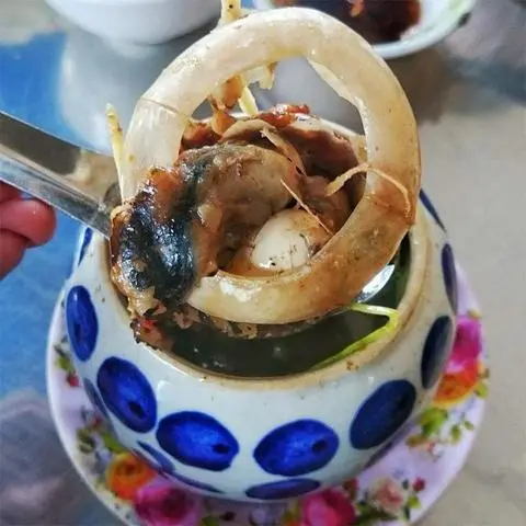 Hình ảnh Mắt Cá Ngừ Đại Dương Tiềm Thuốc Bắc 