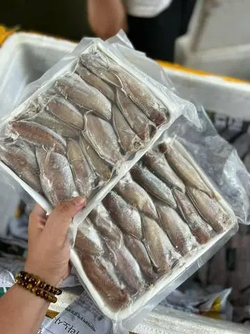 Hình ảnh Cá Đù 1 Nắng Con  500g