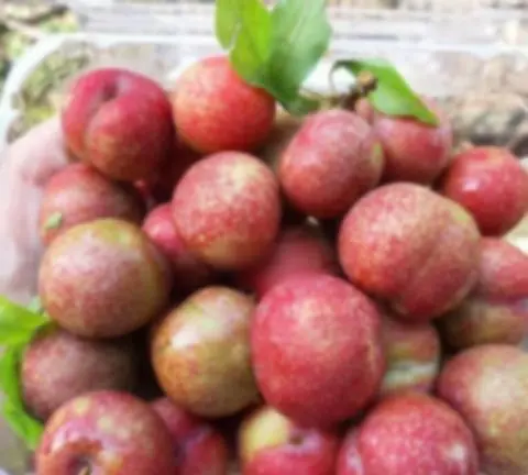 Hình ảnh Mận Hà Nội - 200gr