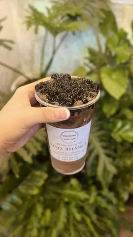 Hình ảnh ca cao sữa đá