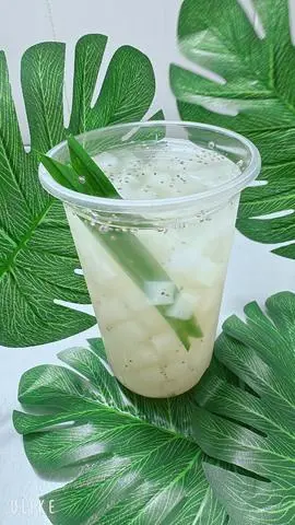 Hình ảnh Thạch Dừa Hạt Chia - 1 Ly