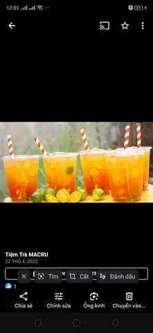 Hình ảnh Trà tắc 