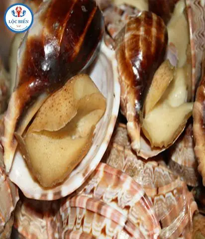 Hình ảnh ốc khế nướng mọi