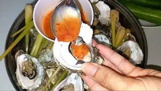 Hình ảnh Hàu Hấp. 