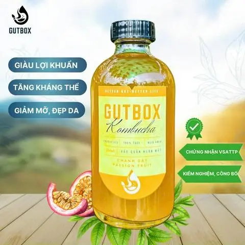 Hình ảnh Kombucha chanh dây