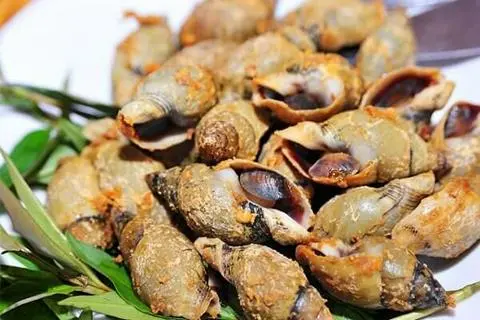 Hình ảnh Ốc Cà Na Rang Muối