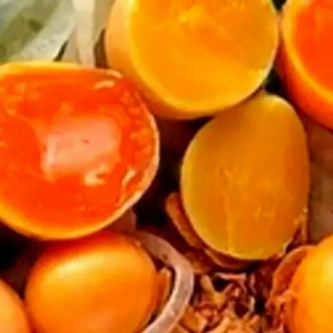 Hình ảnh Bánh tráng trộn thập cẩm tóp mỡ mắm hành trứng gà full khô