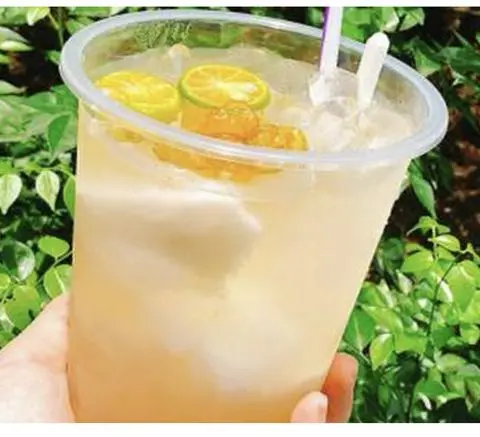 Hình ảnh DỪA TẮC LY LỚN