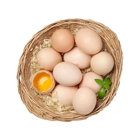 Hình ảnh trứng gà ta