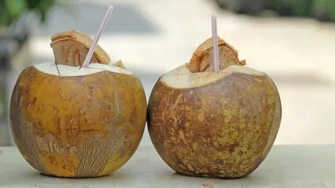 Hình ảnh Dừa 5 Trái
