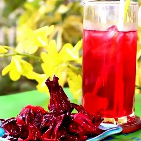 Hình ảnh Atiso đỏ