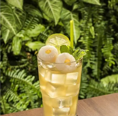 Hình ảnh Ô Long Lệ Chi