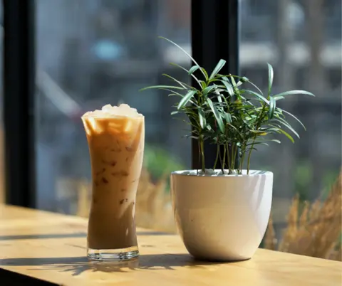 Hình ảnh Matcha Trân Châu Đường Đen